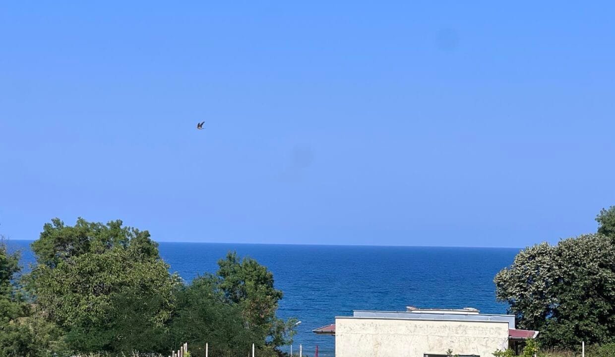 viber_image_2025-08-02_15-18-50-004