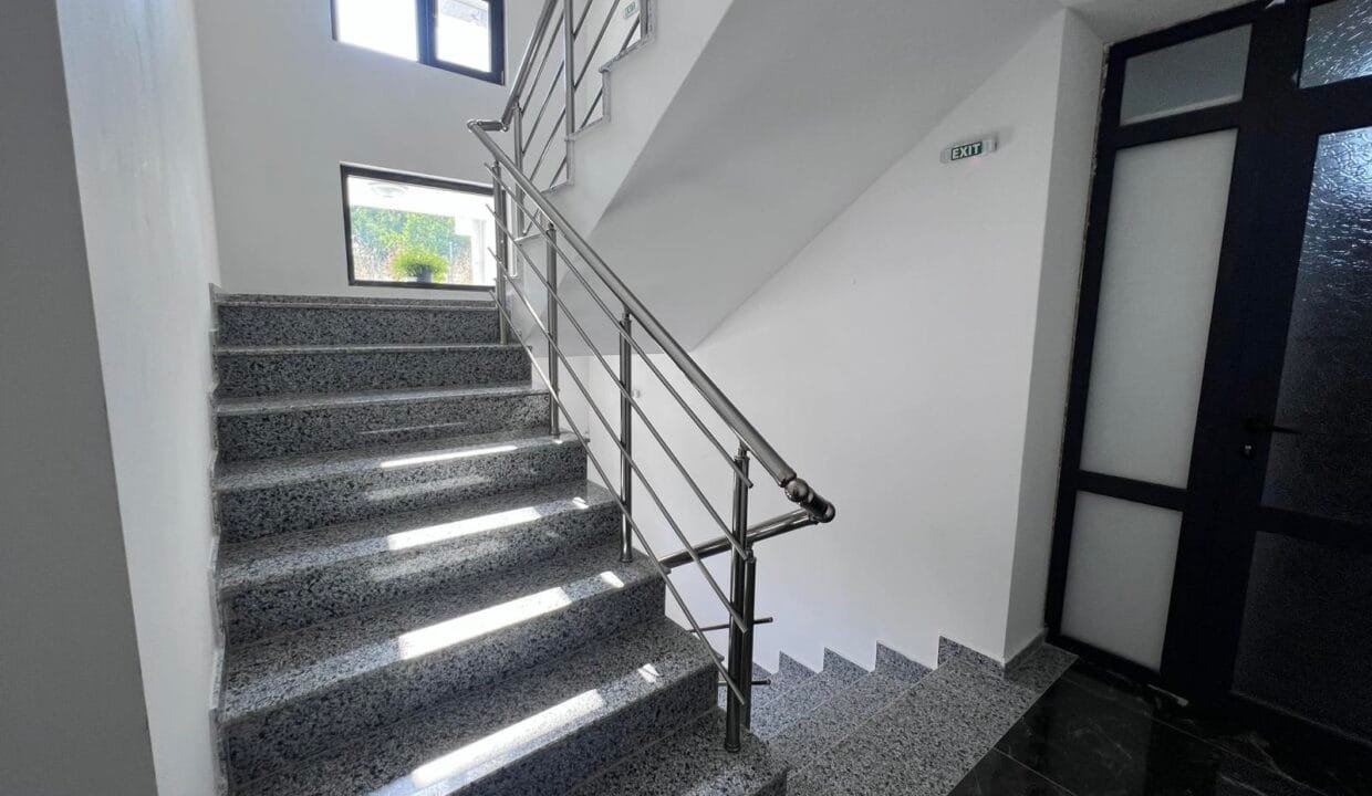 viber_image_2025-08-02_15-18-51-025