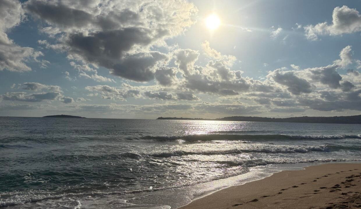 5629b173-89d4-4212-90b6-e111075f53fb