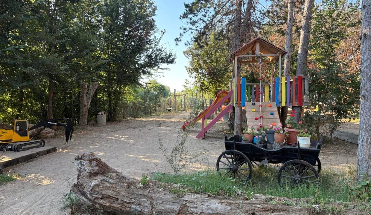 cfac0a47-1e1a-4378-bbc0-806251dc3012