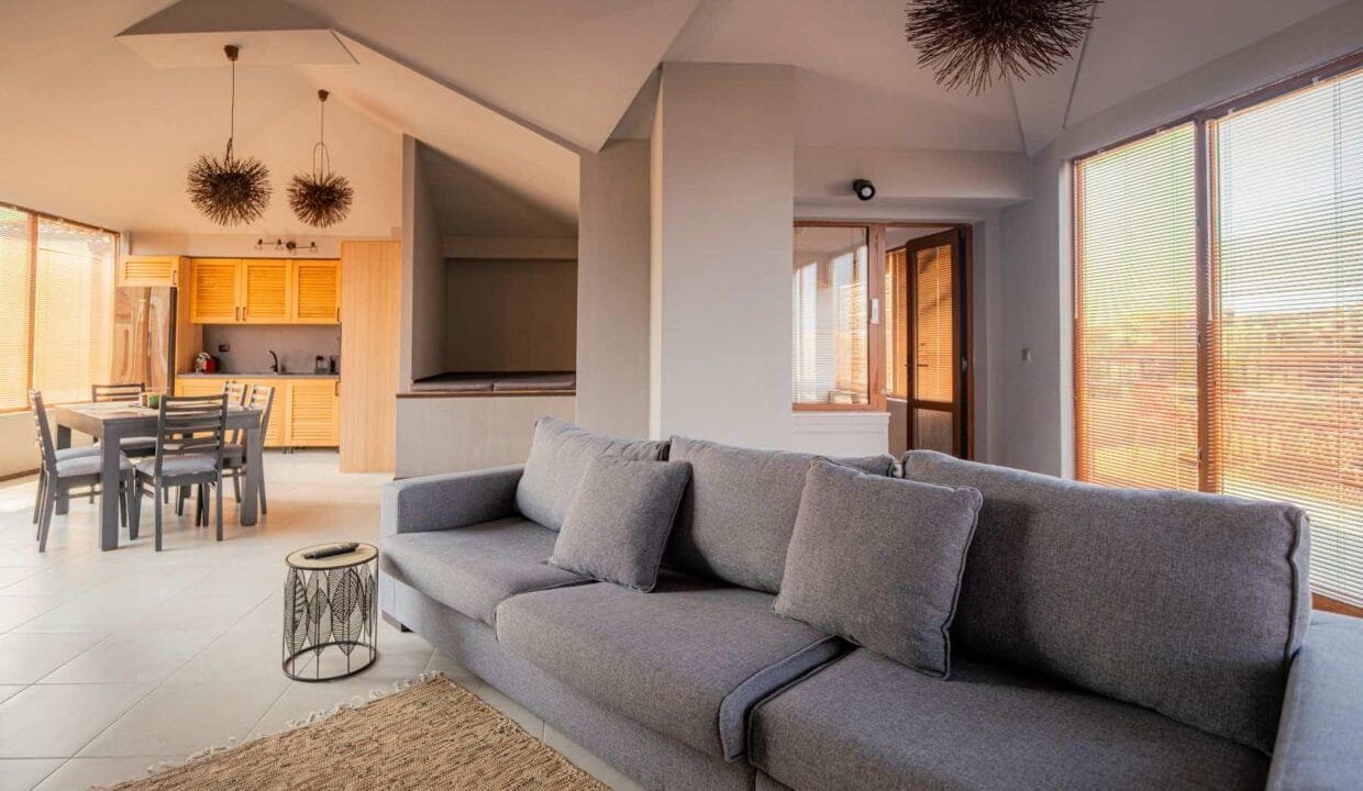 viber_image_2025-11-07_14-56-15-165