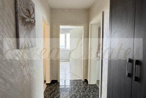 viber_image_2026-01-23_11-01-11-342