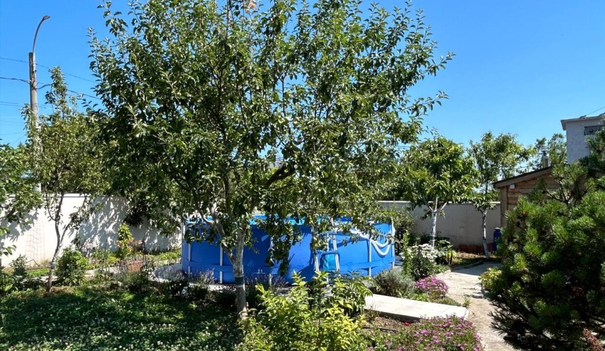 viber_image_2026-01-09_18-22-36-547