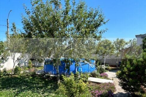 viber_image_2026-01-09_18-22-36-547