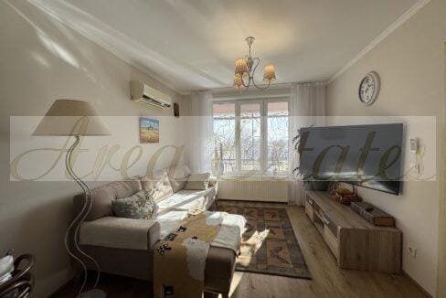 viber_image_2026-01-12_17-04-47-650