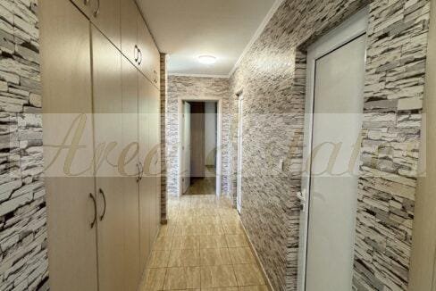 viber_image_2026-01-12_17-08-15-182