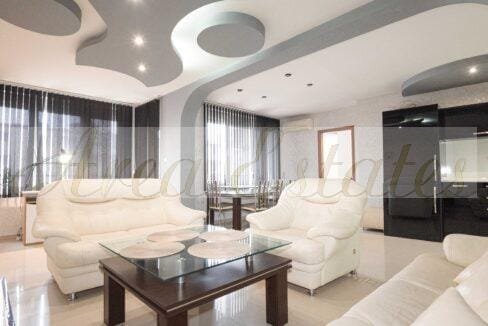 DSC_8767-1 – Копие – Копие