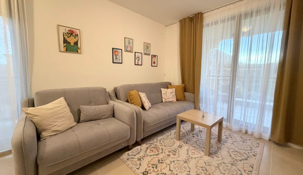 viber_image_2026-02-25_12-31-26-014