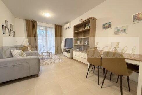 viber_image_2026-02-25_12-31-26-229