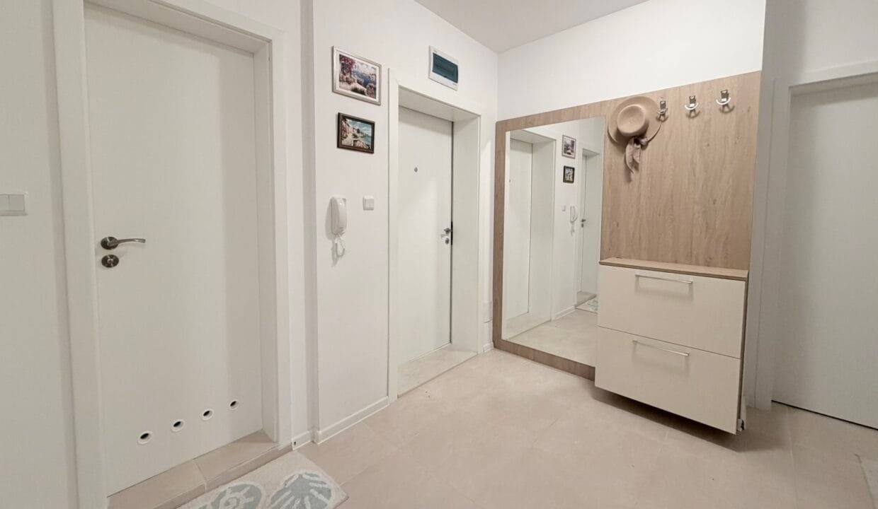 viber_image_2026-02-25_12-32-38-203