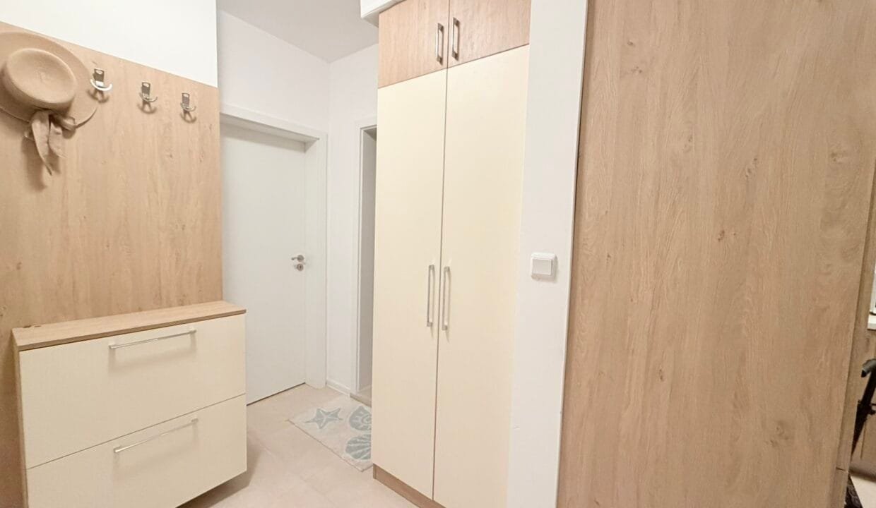 viber_image_2026-02-25_12-32-39-378