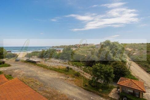 c82155d2feb37f79638779eeeabd3cc4_3840x3840f__DSC4411-1