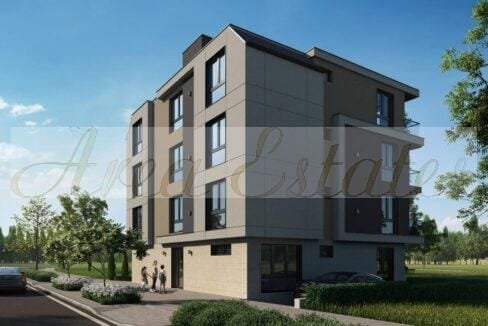 viber_image_2026-03-02_14-34-54-775