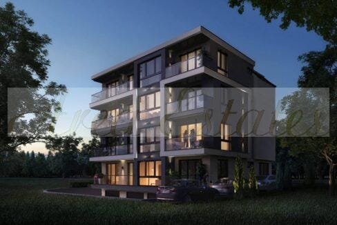 viber_image_2026-03-02_14-34-55-281