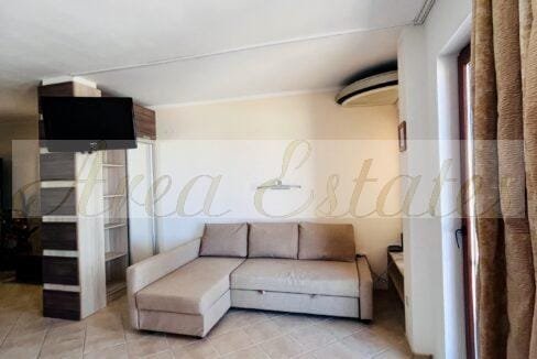 viber_image_2026-03-16_17-27-53-203