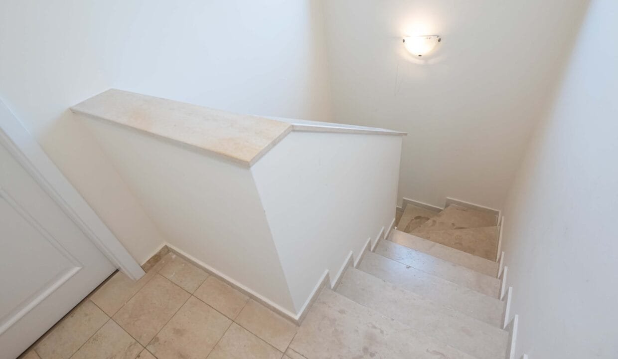 DSC_3508-1